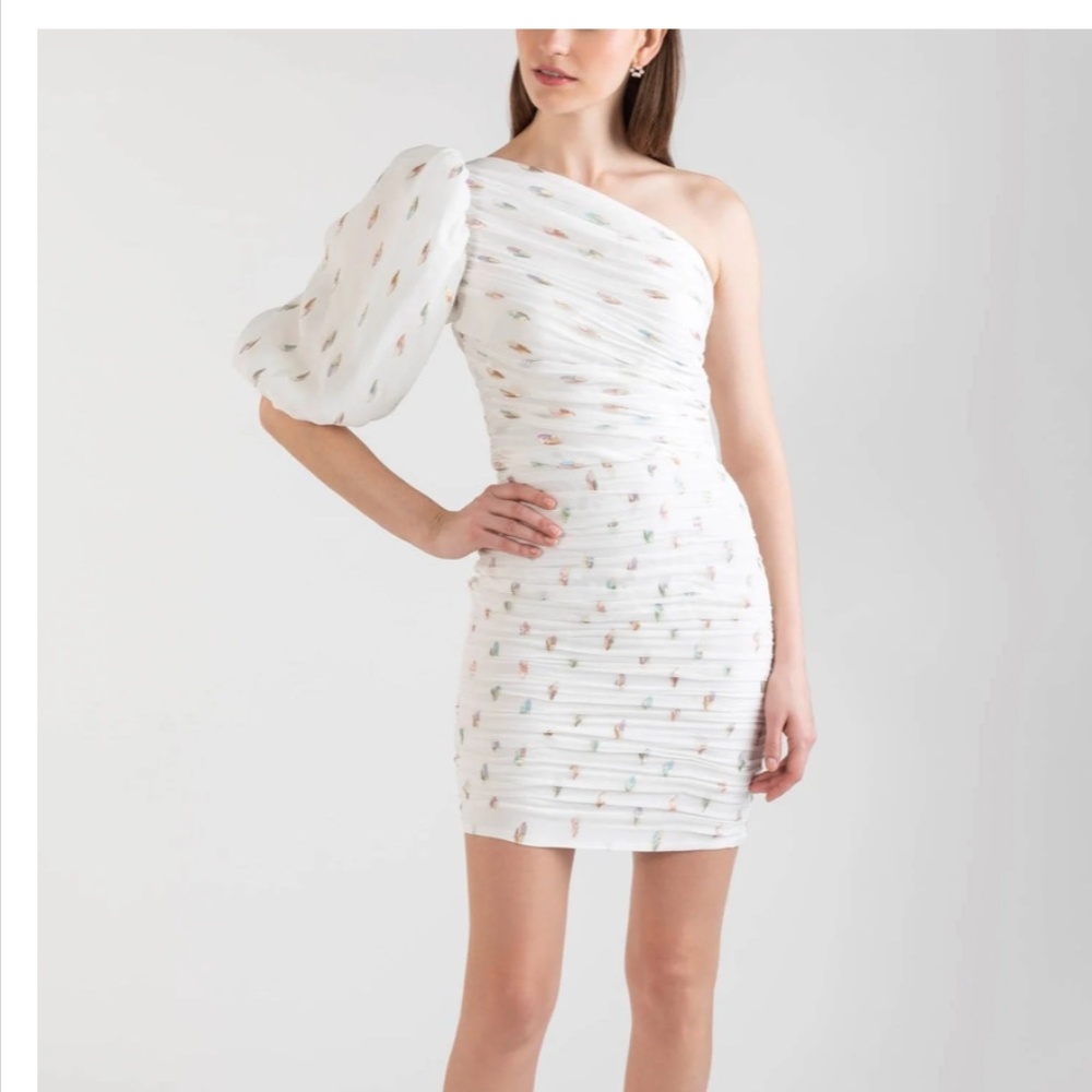 NWT! Shoshanna Ronnie Dress